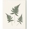 Forest Shadows Green on Cream by Moira Hershey 12" x 15" Canvas Wall Art (Set of 2)